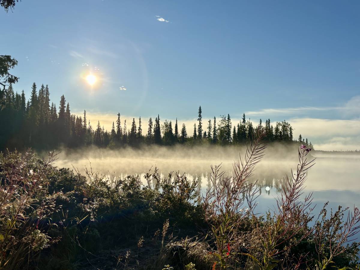 wildnis_huette_lappland_2025_fischerhuette_15