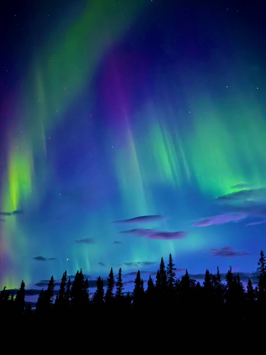 wildnis_huette_lappland_2025_fischerhuette_22