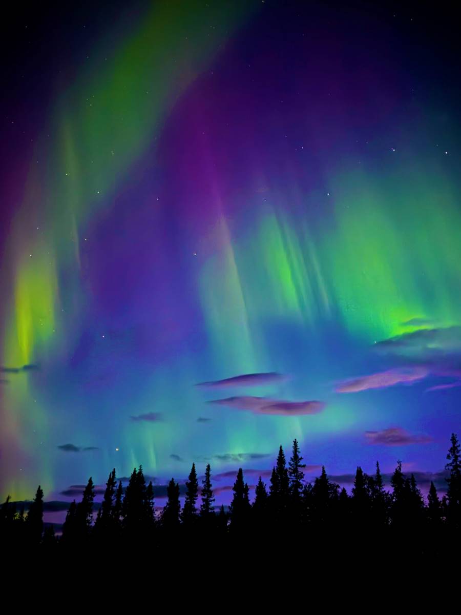 wildnis_huette_lappland_2025_fischerhuette_28