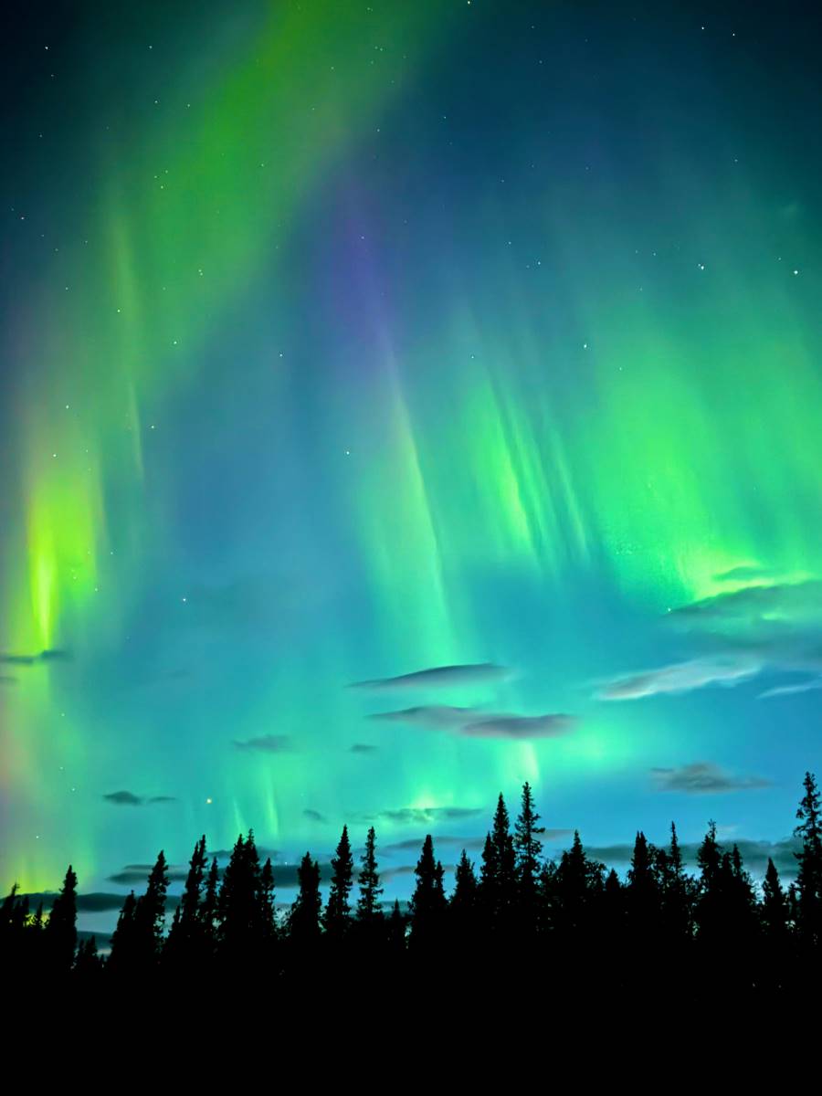 wildnis_huette_lappland_2025_gaestehaus_24