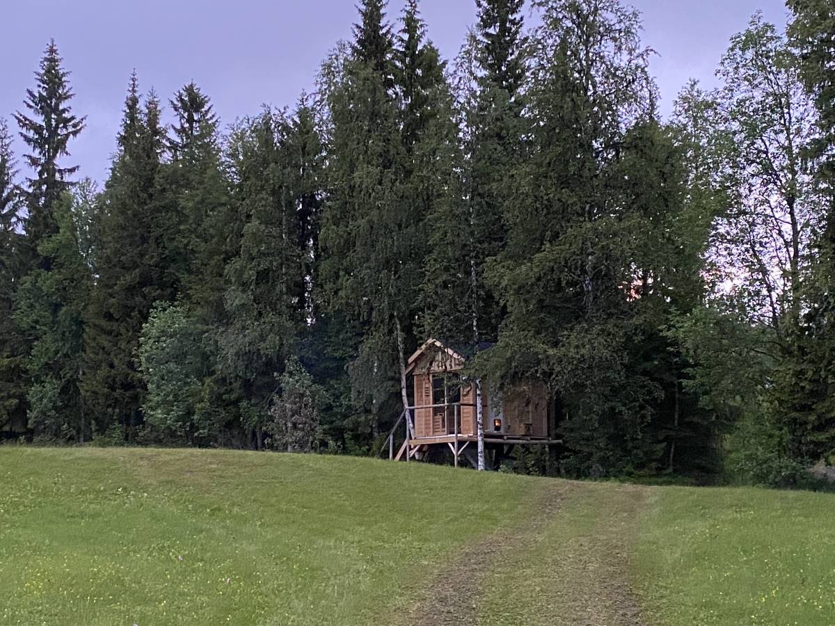 wildnis_huette_lappland_2025_nordlicht_13